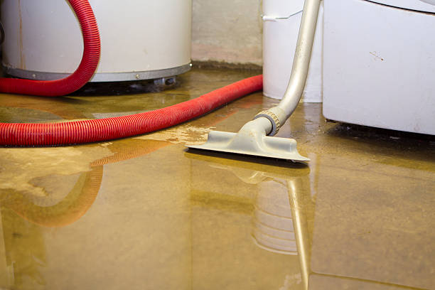 Best 24/7 water damage repair  in USA