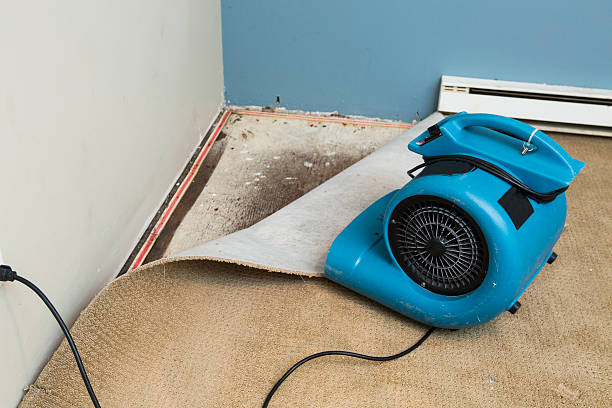 Best Water damage restoration services  in USA